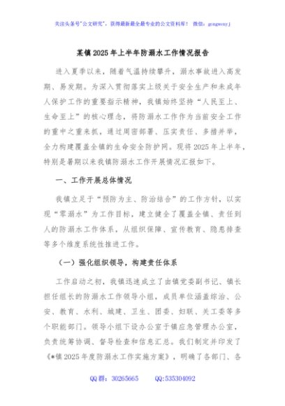 某镇2025年上半年防溺水工作情况报告