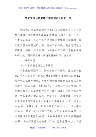 党支部书记抓党建工作述职评议报告 (2)