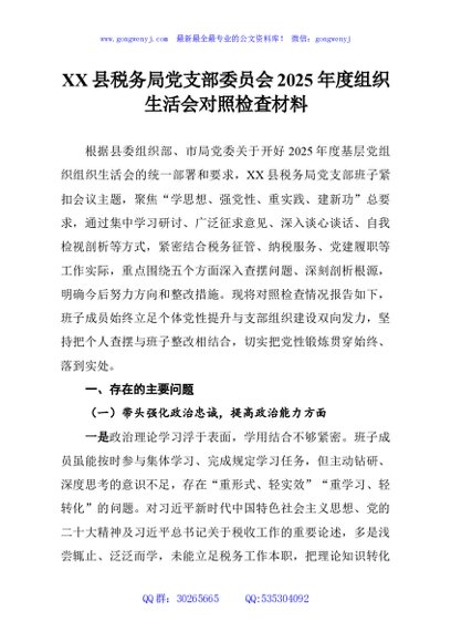 XX县税务局党支部委员会2025年度组织生活会对照检查材料