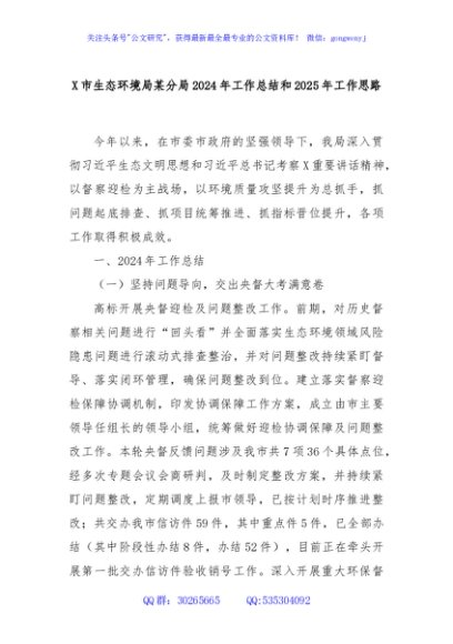 X市生态环境局某分局2024年工作总结和2025年工作思路