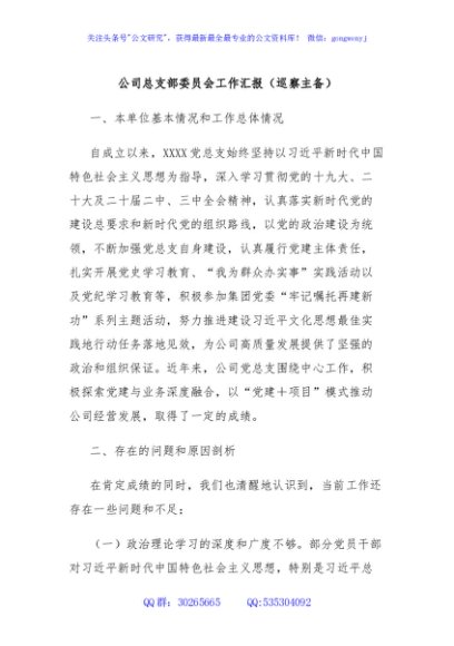 公司总支部委员会工作汇报（巡察主备）