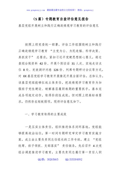 （5篇）专题教育自查评估意见报告