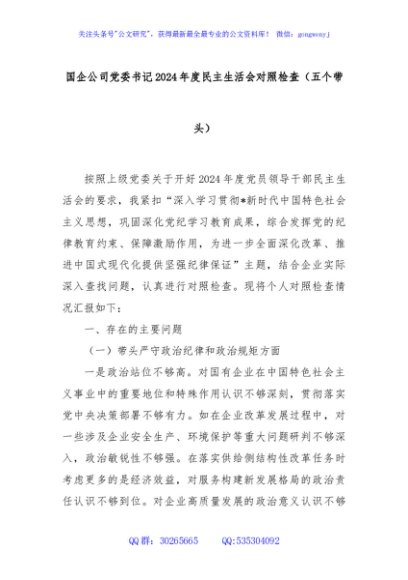 国企公司党委书记2024年度民主生活会对照检查（五个带头）