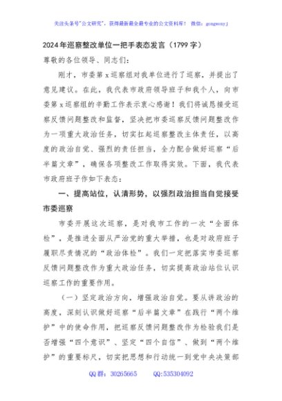 2024年巡察整改单位一把手表态发言（1799字）