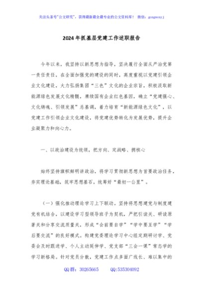 2024年抓基层党建工作述职报告