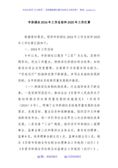 市供销社2024年工作总结和2025年工作打算