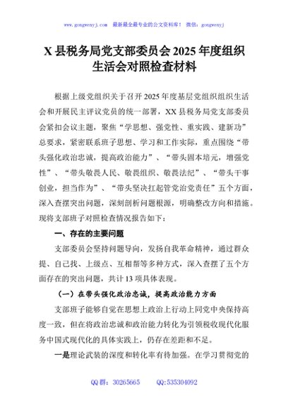 X县税务局党支部委员会2025年度组织生活会对照检查材料