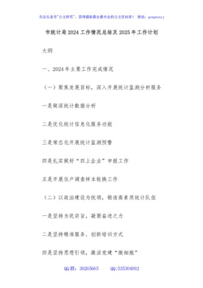 市统计局2024工作情况总结及2025年工作计划