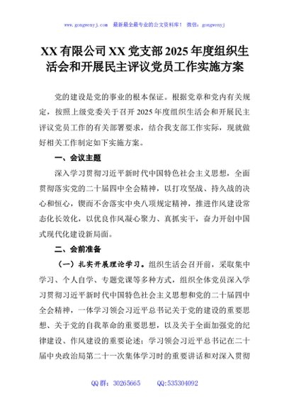 XX有限公司XX党支部2025年度组织生活会和开展民主评议党员工作实施方案