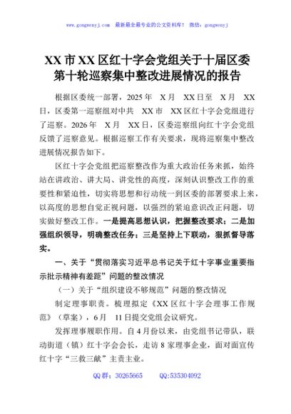 XX市XX区红十字会党组关于十届区委第十轮巡察集中整改进展情况的报告