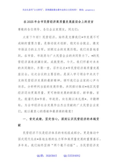 在2025年全市民营经济高质量发展座谈会上的发言