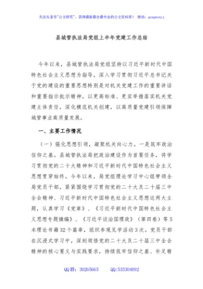 县城管执法局党组上半年党建工作总结