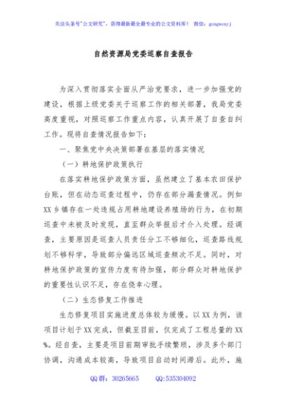 自然资源局党委巡察自查报告