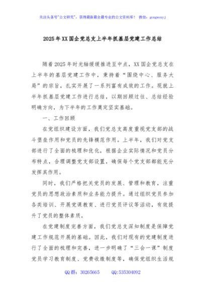 2025 年 XX 国企党总支上半年抓基层党建