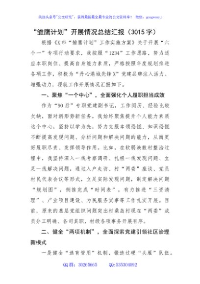 “雏鹰计划”开展情况总结汇报