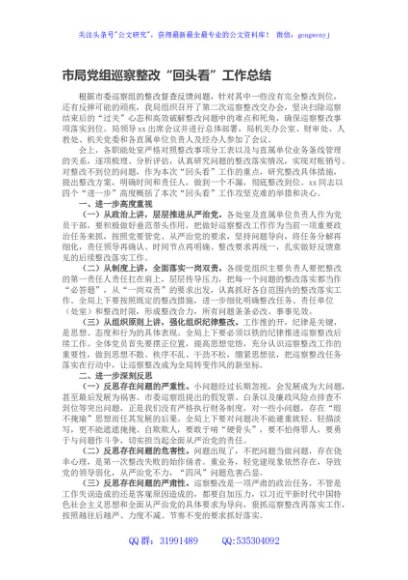 市局党组巡察整改“回头看”工作总结