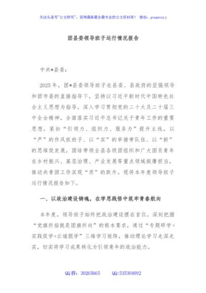 团县委领导班子运行情况报告