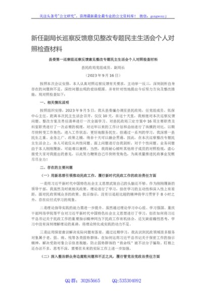 新任副局长巡察反馈意见整改专题民主生活会个人对照检查材料