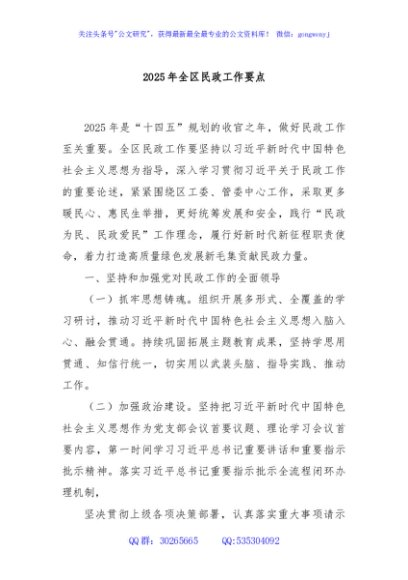 2025年全区民政工作要点