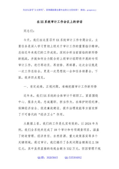 在XX系统审计工作会议上的讲话