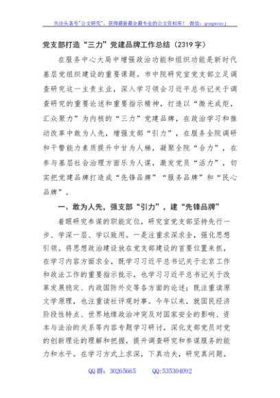 党支部打造“三力”党建品牌工作总结