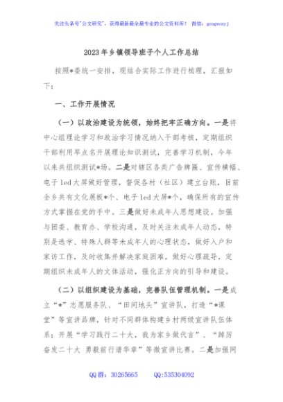 2023年乡镇领导班子个人工作总结