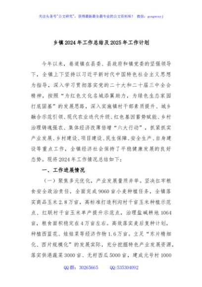 乡镇2024年工作总结及2025年工作计划