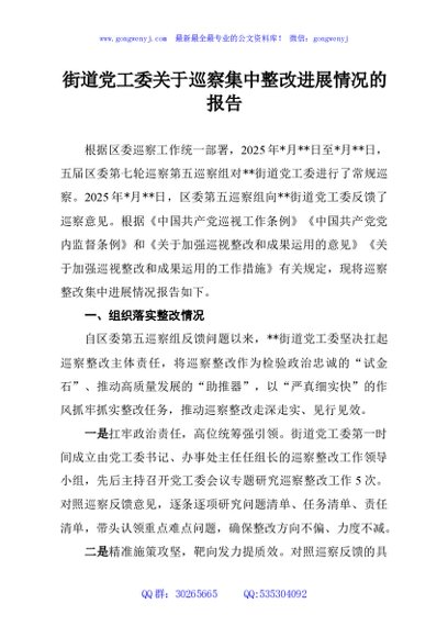 街道党工委关于巡察集中整改进展情况的报告