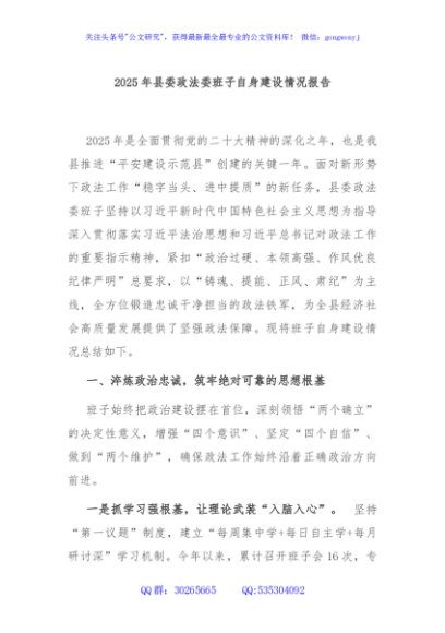 2025年县委政法委班子自身建设情况报告