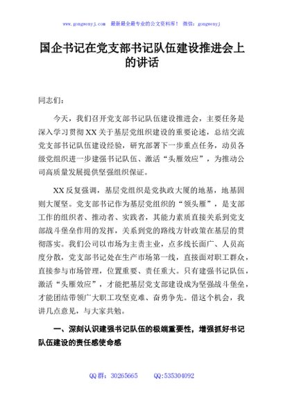 国企公司书记在党支部书记队伍建设推进会上的讲话