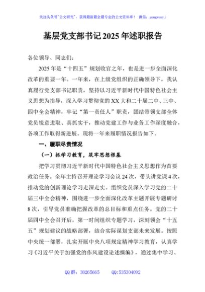 基层党支部书记2025年述职报告