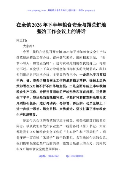 在全镇2026年下半年粮食安全与撂荒耕地整治工作会议上的讲话