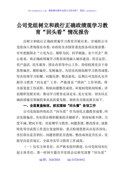 公司党组树立和践行正确政绩观学习教育“回头看”情况报告