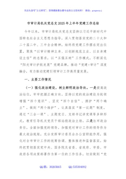 市审计局机关党总支2025年上半年党建工作总结