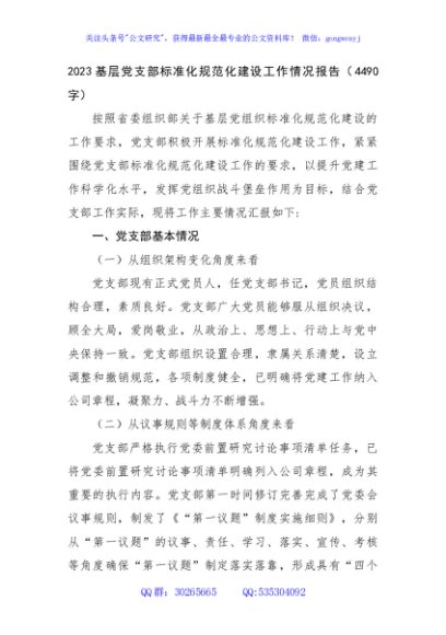 2023基层党支部标准化规范化建设工作情况报告