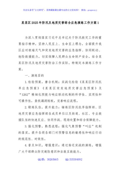 某某区2025年防汛及地质灾害综合应急演练工作方案1