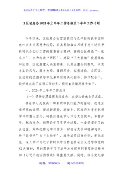 X区政府办2024年上半年工作总结及下半年工作计划