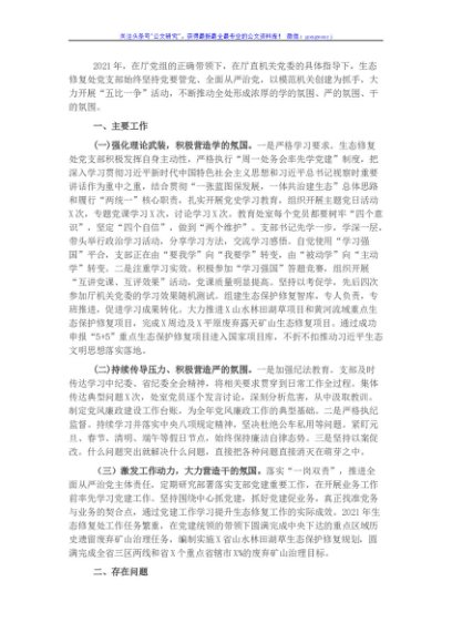生态修复处党支部书记党建工作述职报告
