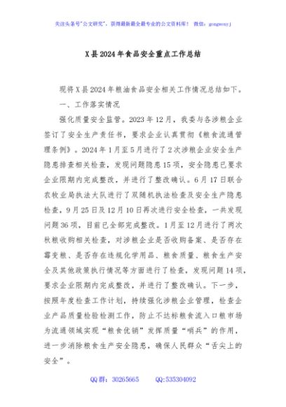 X县2024年食品安全重点工作总结