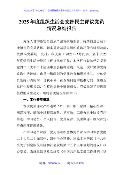 2025年度组织生活会支部民主评议党员情况总结报告
