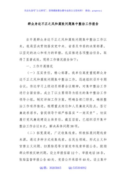 群众身边不正之风和腐败问题集中整治工作报告