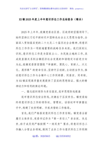 XX镇2025年度上半年意识形态工作总结报告（精品）
