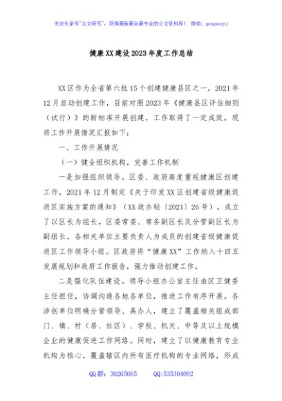 健康XX建设2023年度工作总结