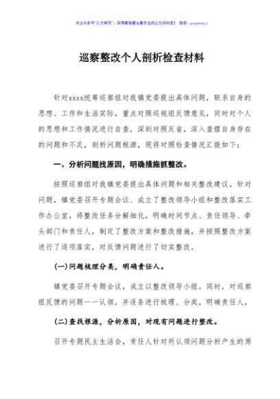 巡察整改个人剖析检查材料