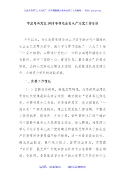 市应急局党组2024年推进全面从严治党工作总结