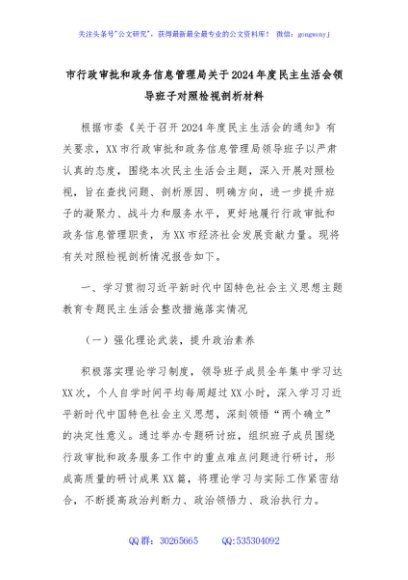 市行政审批和政务信息管理局关于2024年度民主生活会领导班子对照检视剖析材料