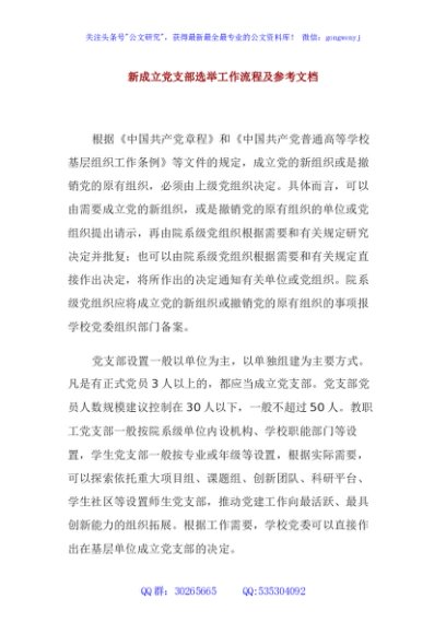 新成立党支部选举工作流程及参考文档