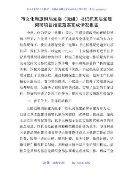 市文旅局书记抓基层党建突破项目推进落实完成情况报告