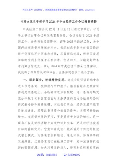 市府办党员干部学习2024年中央经济工作会议精神感悟
