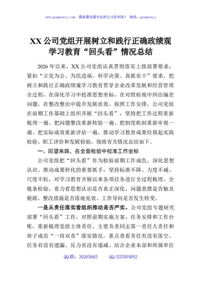 XX公司党组开展树立和践行正确政绩观学习教育“回头看”情况总结